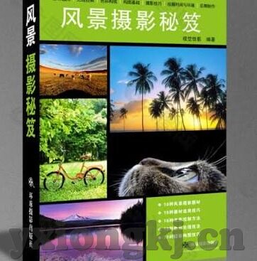 日韩av网站免费在线看-探索成人娱乐的边界，日韩AV网站免费在线观看的多元视角